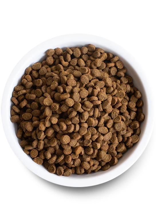 Open Farm Cat Wild-Caught Salmon Grain-Free 2 lbs - Happy Pet