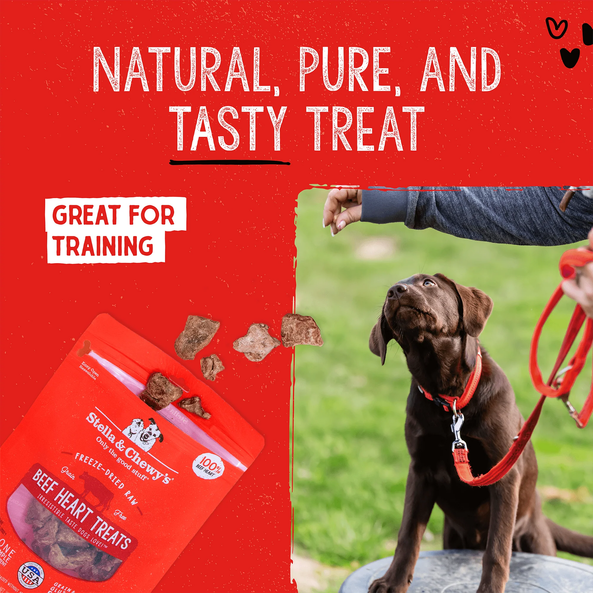 Stella & Chewy's Beef Heart Treats 3 oz - Happy Pet