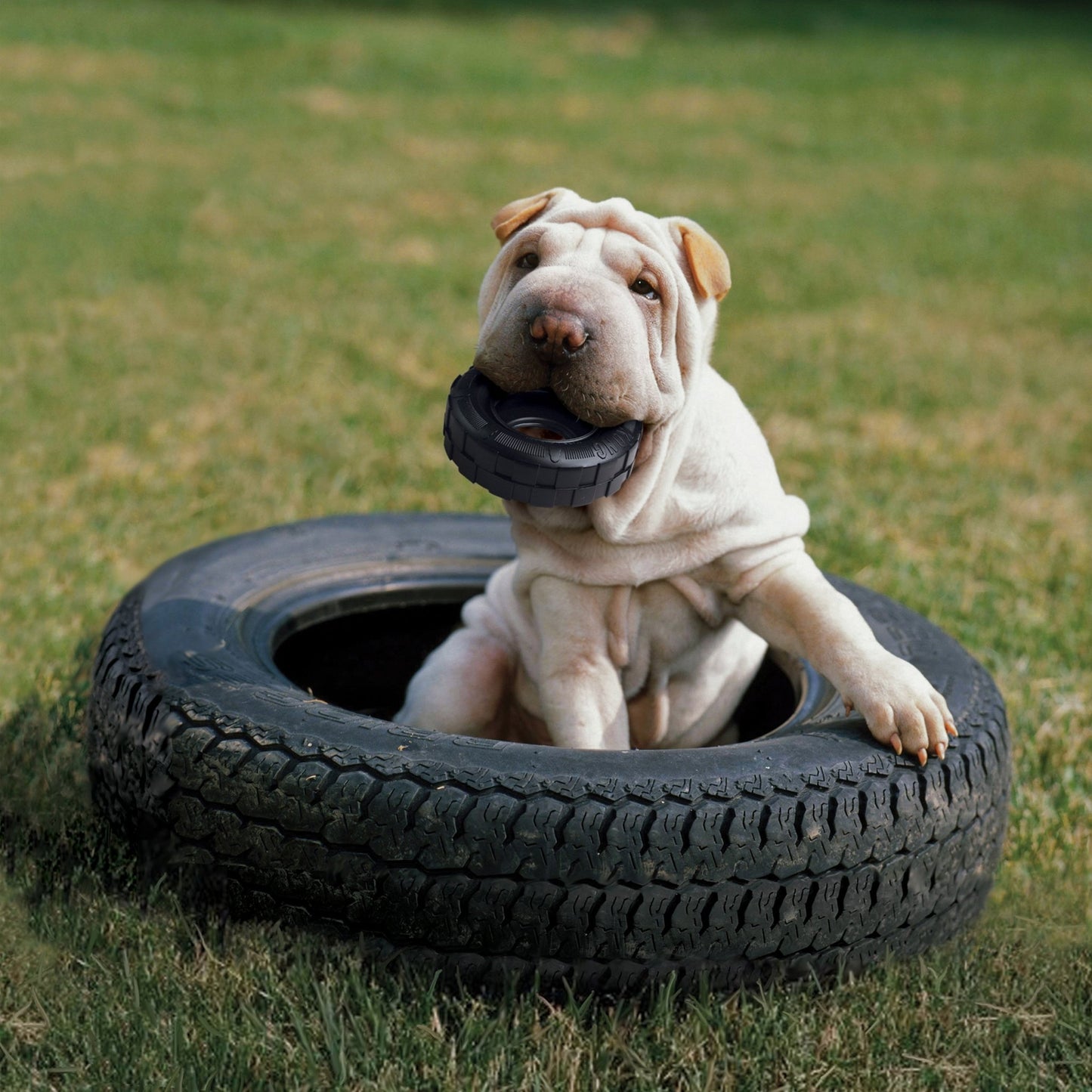 Kong Tires - Happy Pet